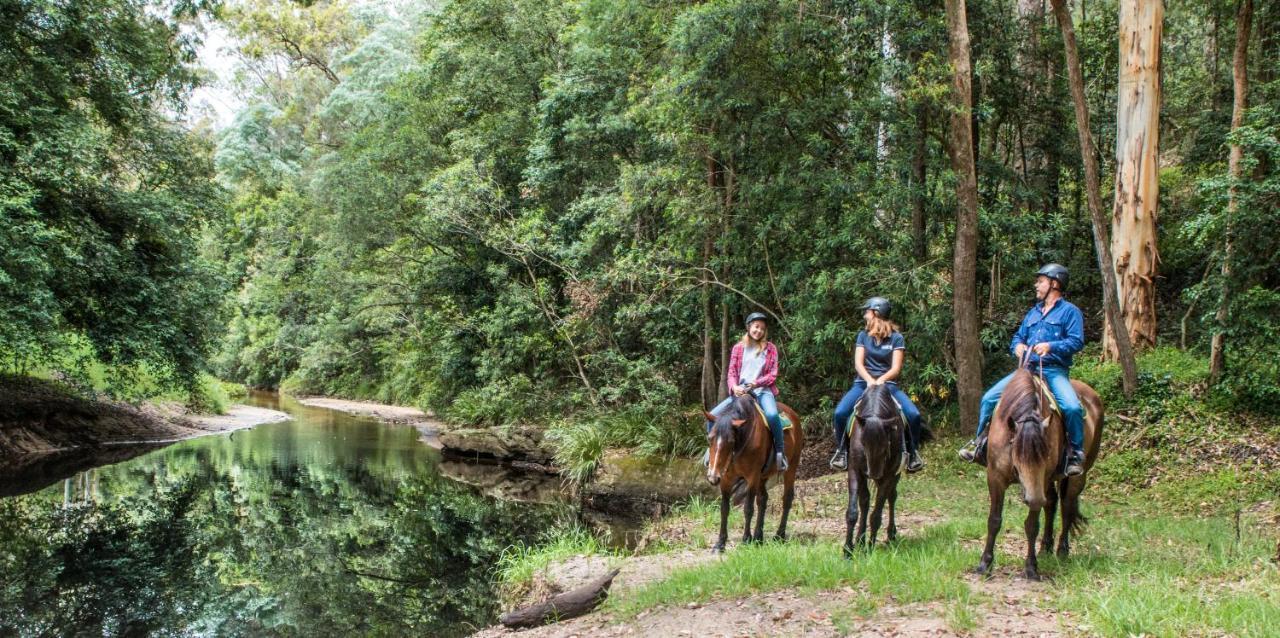 Glenworth Valley Wilderness Adventures Eksteriør billede